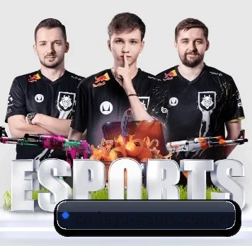 未来布局