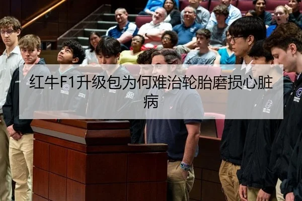 红牛F1升级包为何难治轮胎磨损心脏病